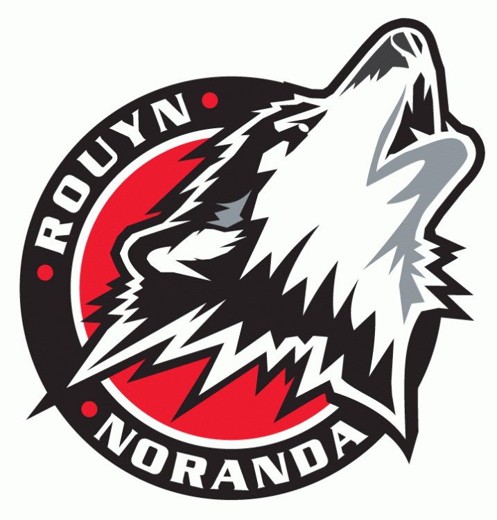 Rouyn-Noranda Huskies 2006 07-Pres Primary Logo iron on paper